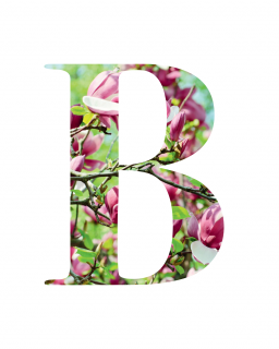 10.+11.05.2025 l Benrather Maimarkt